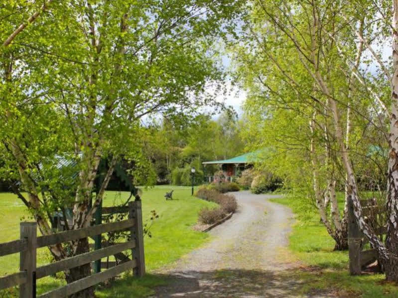 Green Gables B&B Cygnet Exterior foto